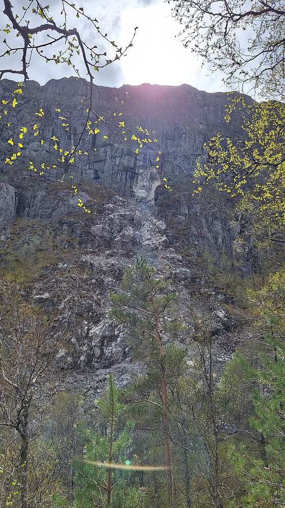 Ras i Vassetedalen.
