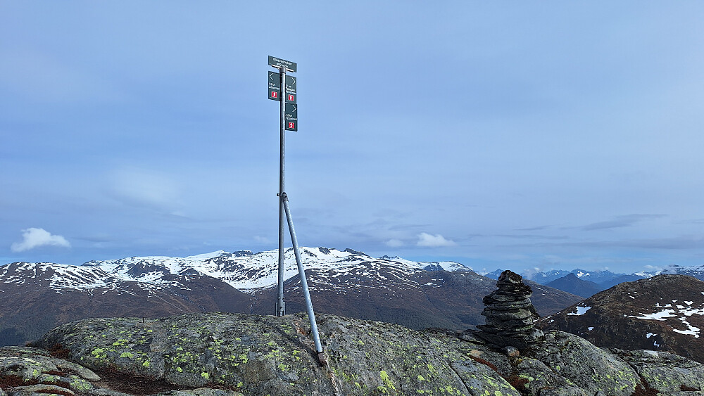 Blåsvednyken trig. punkt.