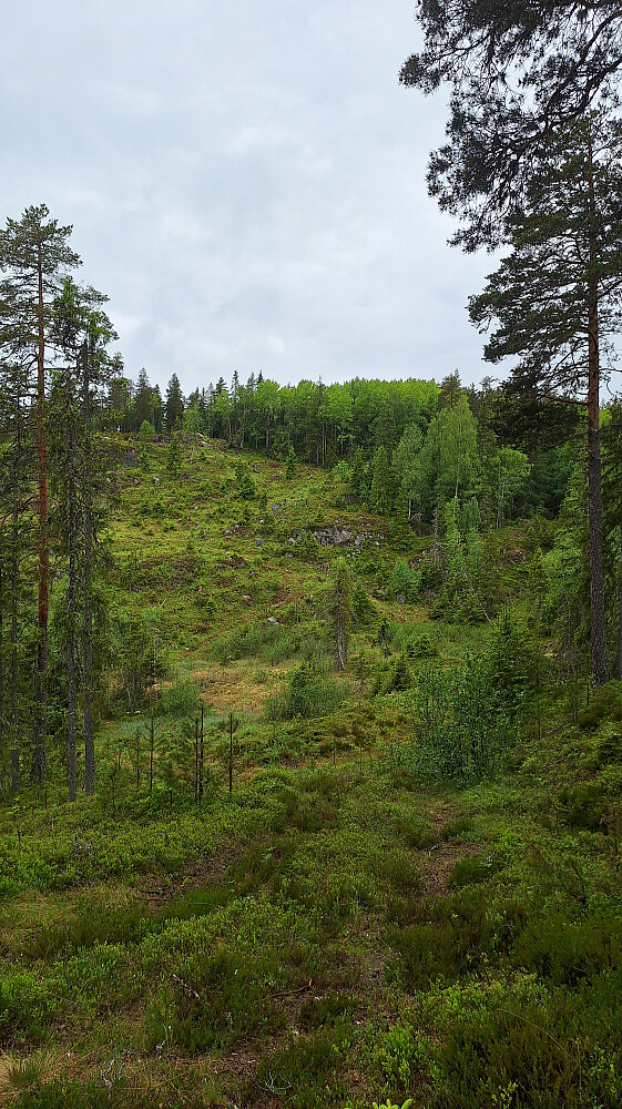 Fra fin grusvei og over i det søkkvåte element.