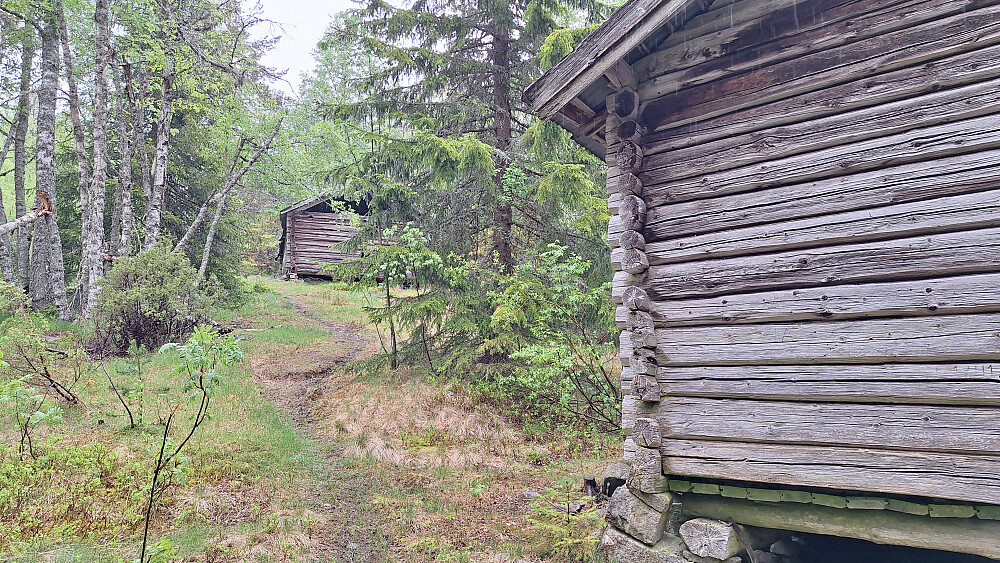 Fin gammel plass i skogen en kilometer før toppen.
