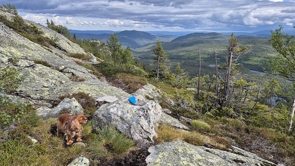 Like før siste kneika opp til toppen dreide stien ut mot sørsiden. Dalen i bakgrunnen midt i bildet er Tuddalsdalen. Den markerte toppen som stiger opp på venstre side av denne dalen, er Bodik (965).