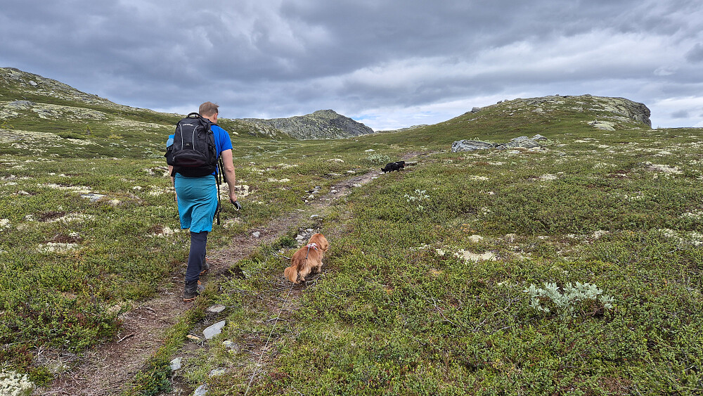 Vi har kommet over skoggrensa, og Ørnenipa (1333) har dukket opp i bakgrunnen midt i bildet.