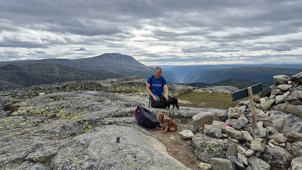 På toppen av Ørnenipa (1333). Gaustatoppen (1883) er lett gjenkjennelig i bakgrunnen, høyt over Rjukan som ligger i dalbunnen til høyre for Øyvind.