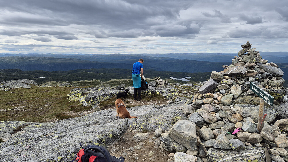 På toppen av Ørnenipa. Utsikt mot nordvest, innover Hardangervidda.