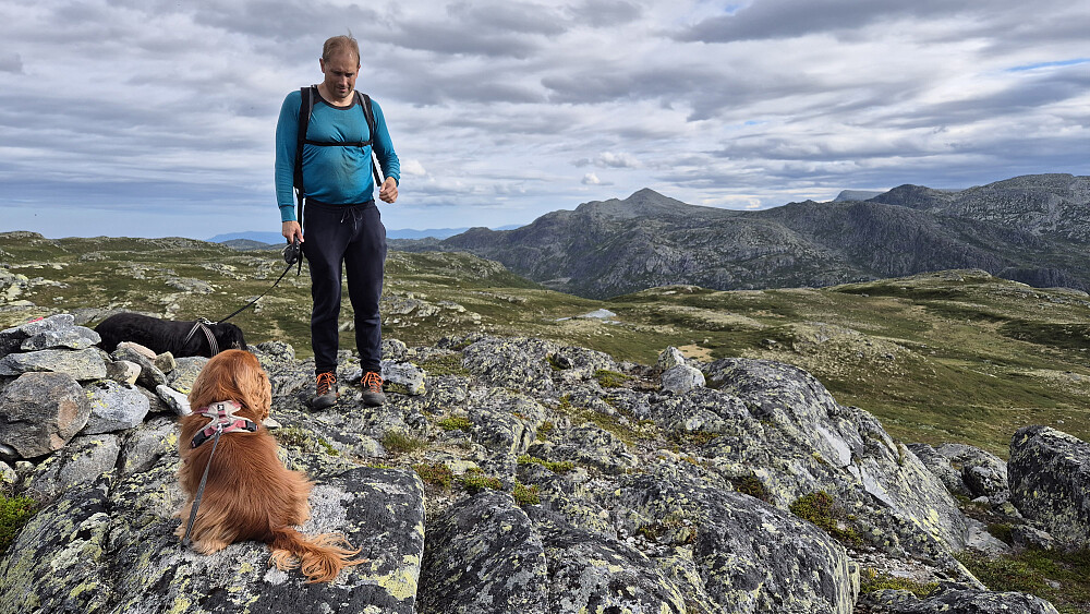 På toppen Vest for Lusetjønn (1214). Utsikt sørover. Toppen i bakgrunnen nesten midt i bildet, er Heddersfjell (1461).