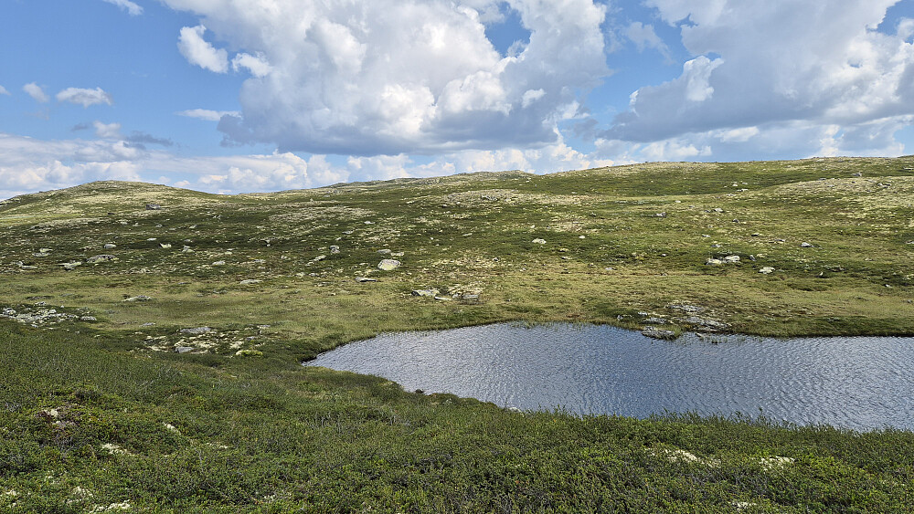 Vandring i terrenget på vei mot Dalsnut (1237). Toppen ses ikke her. På bildet ses tjernet på 1139,8 moh.
