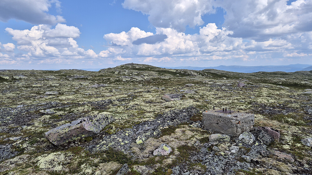 Jeg nærmer meg toppen på Dalsnut (1237), som her ses 300 meter unna.