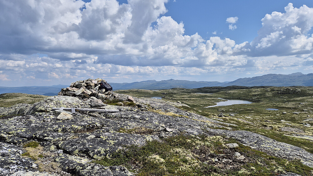 På toppen av Dalsnut (1237), med utsikt mot øst/sørøst. I bakgrunnen midt i bildet, er bl.a. Skårånuten (1336) og Ørnenipa (1333).