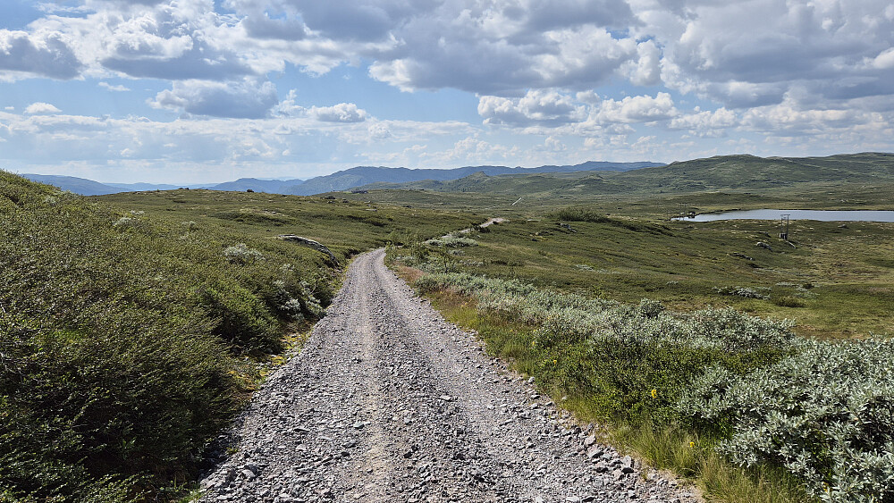 Fra returen, hvor jeg rusler vestover på veien som heter Bøensåsen. Dette var en smal og dårlig grusvei, som forståelig nok var stengt for allmennheten. Her har jeg nettopp passert Kjelsbergvatn, og ser nesten hele distansen jeg har igjen å gå. Den lille stripen med grusvei man ser langt bak og litt til høyre, er ca 400 meter før krysset mot Kalhovdvegen.