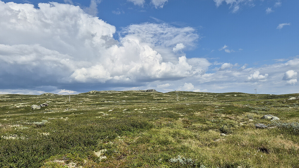Jeg har nettopp begynt å gå fra Kalhovdvegen, og ser opp mot Storenut (1241). Toppen og hytta der oppe kan skimtes omtrent midt i bildet. Stien jeg fulgte er ikke lett å se, men i nedre bildekant starter den litt til venstre for midten, og svinger så svakt mot høyre innover i bildet.
