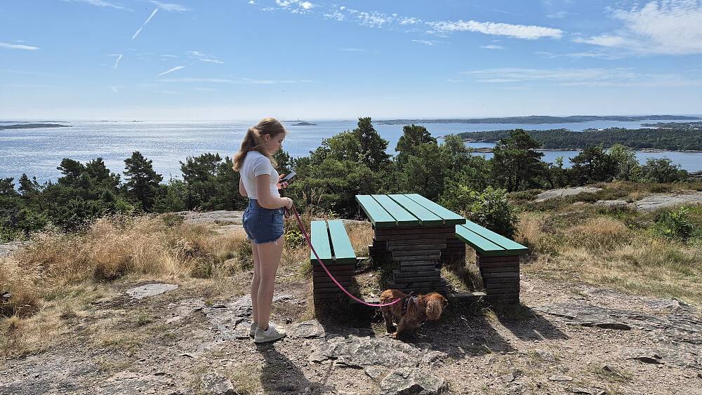 På utsiktsområdet like ved toppen av Odderøya. Bildet tatt i sørlig retning.