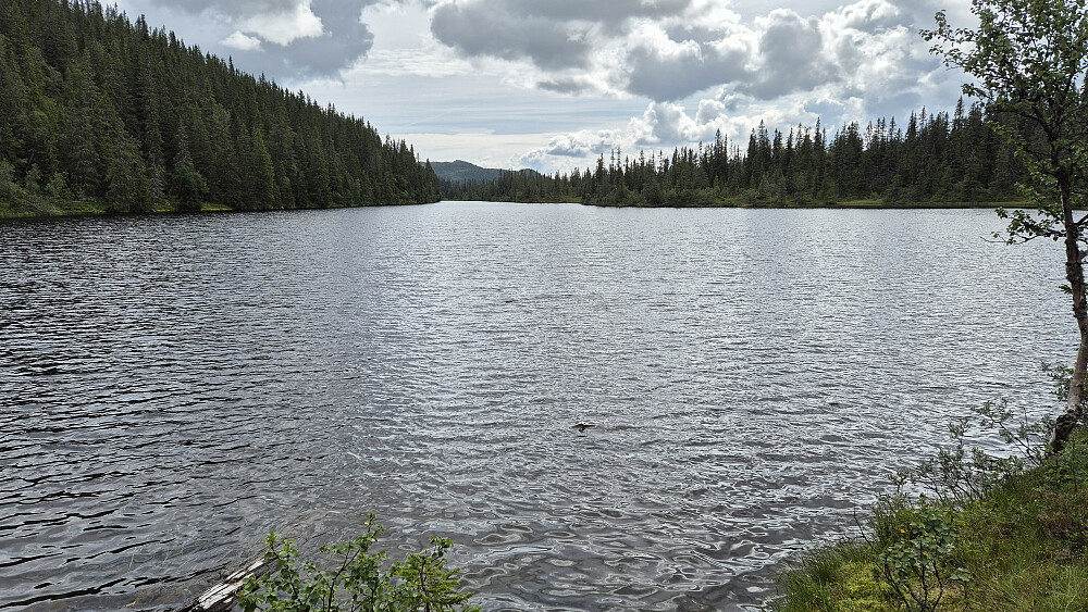 Mjaugetjønn, som er et langt og temmelig smalt tjern. Særlig den søndre delen er veldig smal.