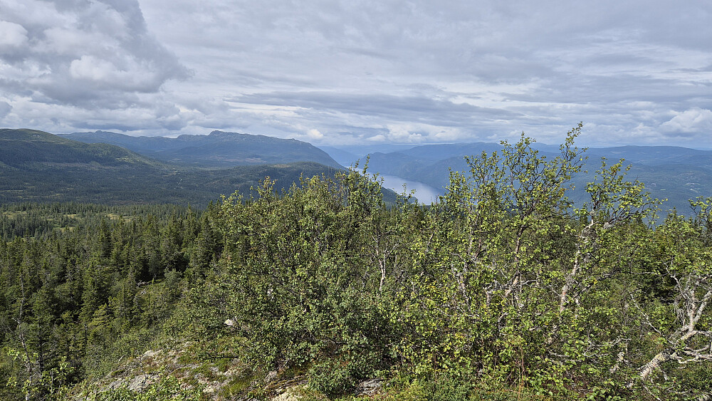 Utsikt mot nord/nordvest fra toppen av Adamshøgda (991). Vannet i bakgrunnen er Tinnsjå.