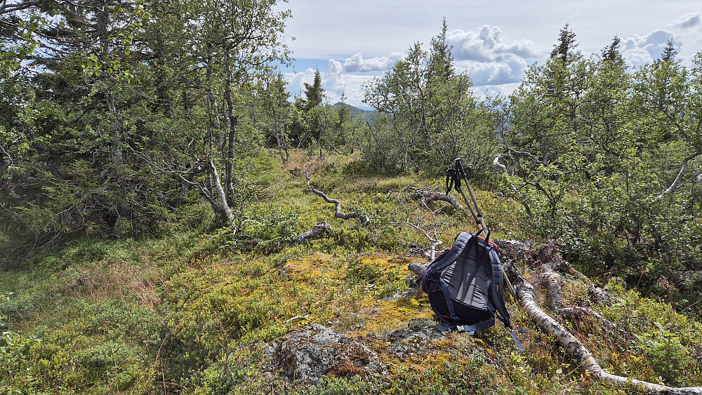 Flatt på toppen av høyden Sør for Adamshøgda (986), og lite utsikt.