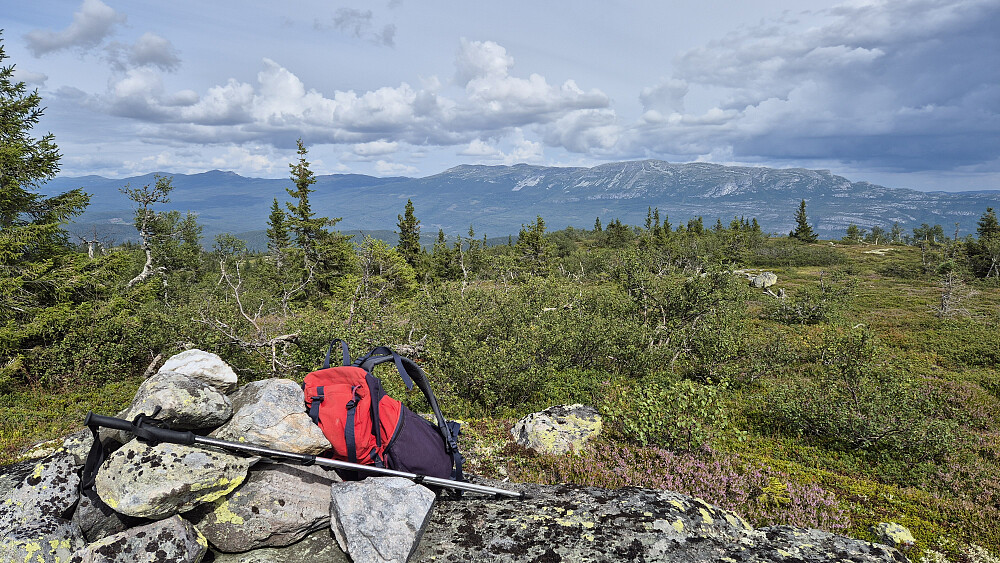 Utsikt mot Blefjell fra toppen av Folegrønuten (980).