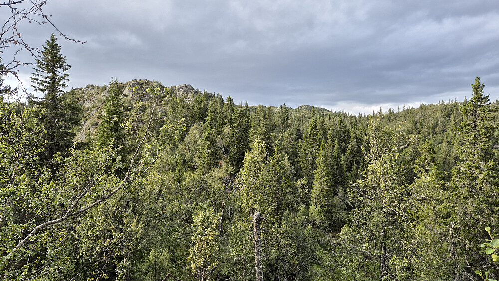 Her står jeg på en liten høyde øst for Kvæven og ser nordover. Bergknausene som stikker opp til venstre er Skinnuten (1005). Bakerst og midt i bildet ser man litt av Rorgefjell.
