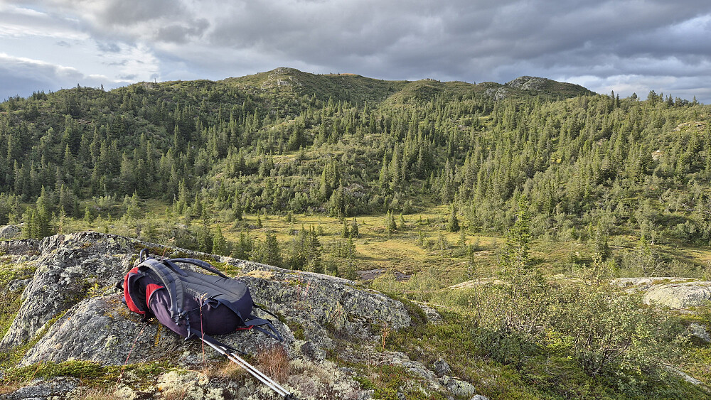 Rorgefjell (1092) sett fra toppen av Skinnuten (1005). Toppunktet på Rorgefjell er det lyse partiet øverst midt i bildet. Opp mot Rorgefjell fulgte jeg bekkedalen som starter litt til høyre i bildet, og så svinger mot venstre lengre oppe og ender like oppunder toppen.
