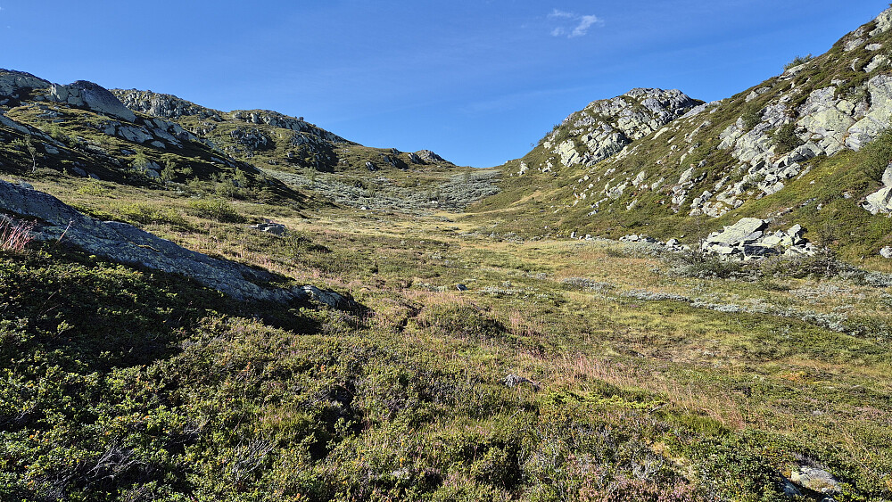 Dalsøkket jeg fulgte nordover etter besøket på Urdetjønnfjell (1139). Her ser jeg tilbake, oppover dalen, hvor jeg nettopp har gått. Lengre bak hvor dalen begynner å stige litt mer, ser man området med vierkjerr jeg gikk gjennom. I lyngen like foran meg ses stien jeg kom inn på, og herfra fulgte videre. 