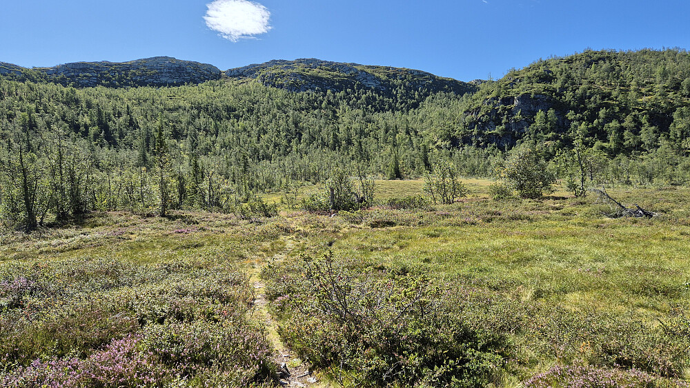 På stien jeg fulgte fra parkeringen. Bildet tatt like etter at jeg forlot bilen. Toppvarden på Døvlingstjørnfjellet (1130) kan skimtes på høyeste punkt nokså midt i bildet.