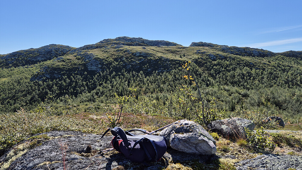 På turens første topp, Sørøst for Våtjønn (1049). Høyest i bakgrunnen er Døvlingstjørnfjellet (1130), hvor toppvarden så vidt kan skimtes helt øverst. Stien jeg fulgte opp mot den toppen går blant annet i fordypningen man ser i skogen og høyere oppe, litt til høyre i bildet.