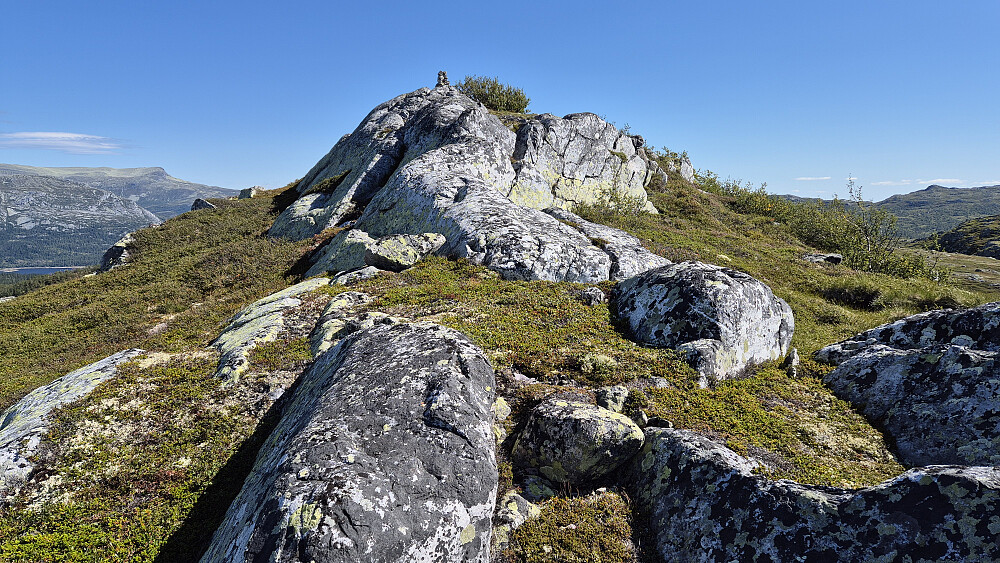 De siste meterne til toppen av Døvlingstjørnfjellet (1130). Herlig terreng og nydelig toppområde.