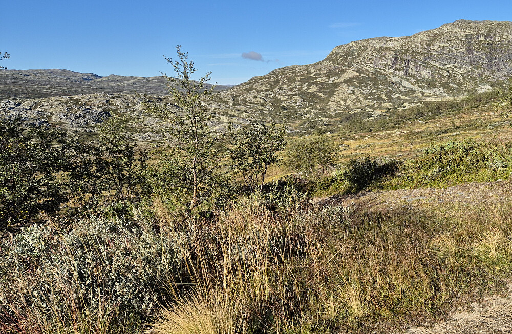 Her begynte fotturen. Helt til høyre i bildet er Søre Afdalsnuten (1350).