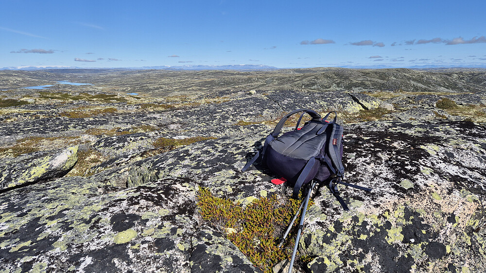Ingen toppvarde å se på Søltjønnhovda (1357). Bildet tatt mot nord/nordvest. Helt bakerst nokså midt i bildet, ses Hallingskarvet.
