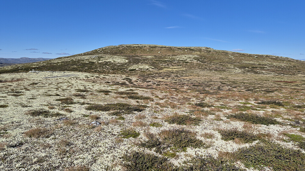 På vandring mot Søltjønnhovda Vest (1354) i svært lettgått terreng.