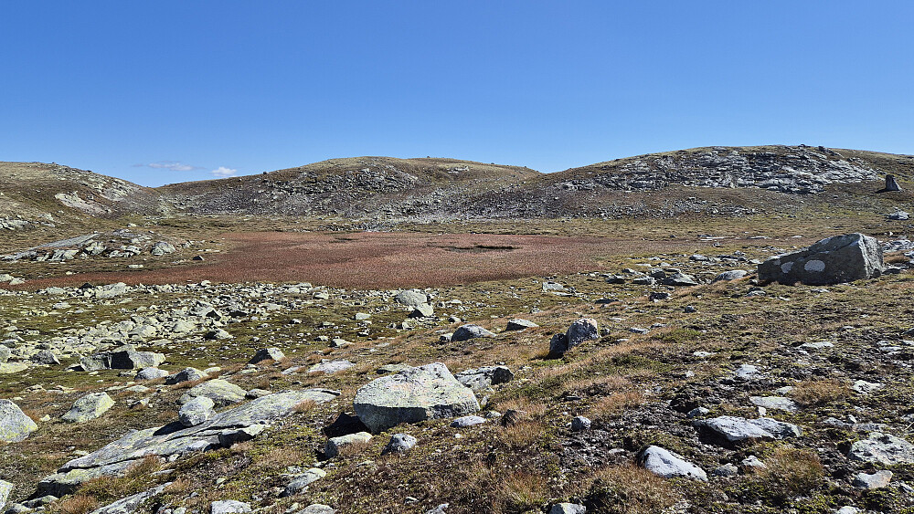 Endelig kom haugen hvor toppen av Jonsnuten (1453) befinner seg til syne. Her er den midt i bildet.