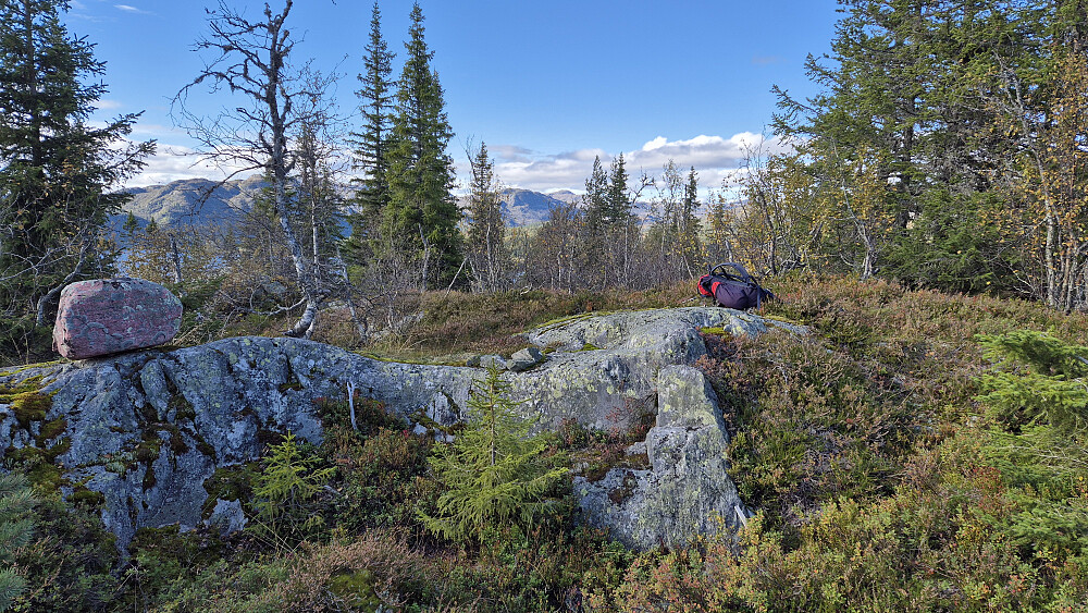 På toppen av Storlibrotet (912). Bildet tatt mot nordvest.