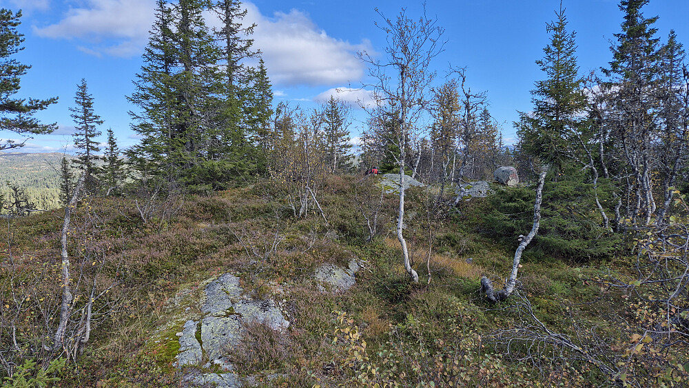 Toppområdet på Storlibrotet (912). En del trær og busker sørget for begrenset utsikt. Men ved å gå litt rundt ble det noen åpninger.