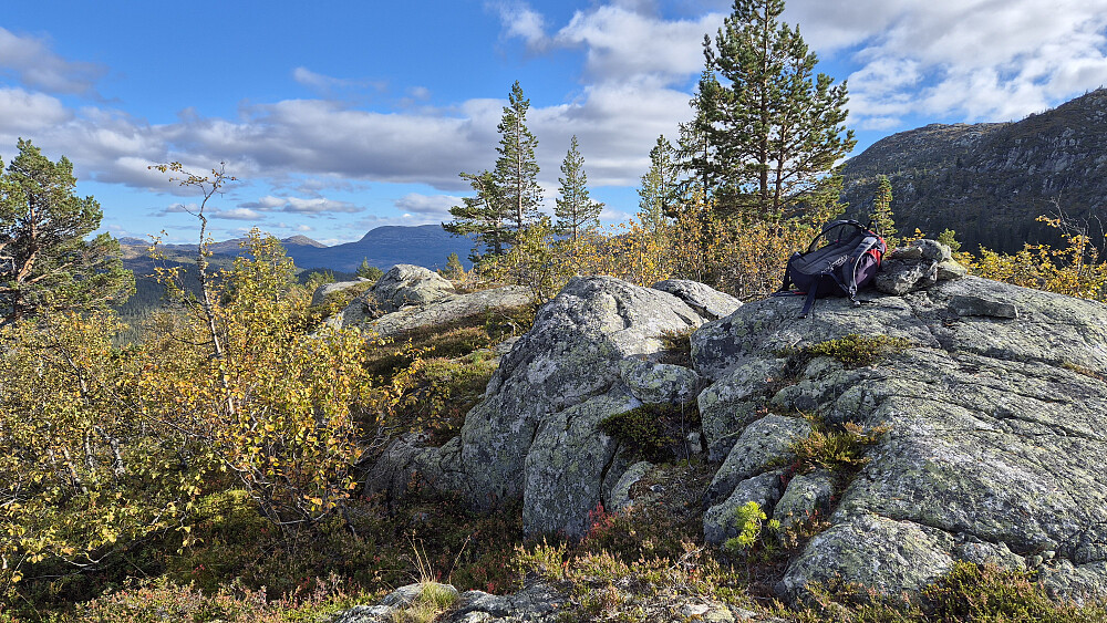 Forholdsvis åpent på toppen av Gaulåsnuten (858) med flere jevnhøye bergknauser etter hverandre. Den første jeg kom til hadde en liten varde, og kartverket har merket den som toppunktet. Bildet tatt i sørøstlig retning. Det høye fjellmassivet bakerst omtrent midt i bildet, er Mælefjell (1414).