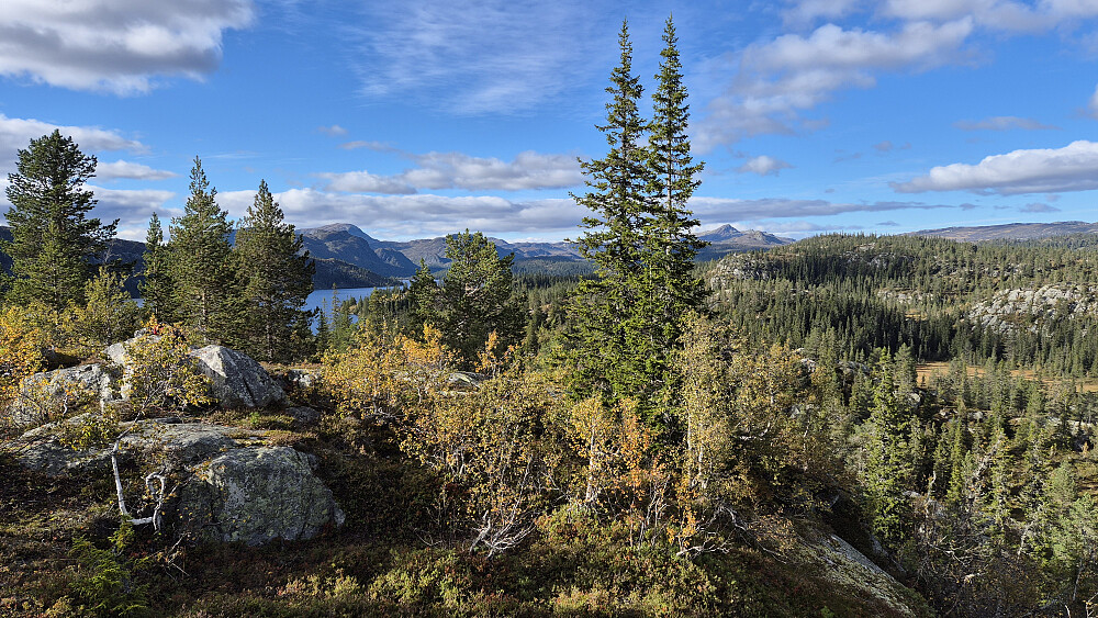 På Gaulåsnuten (858) var det bl.a. god utsikt tilbake mot Storlibrotet (912), som er den skogkledde åsen bak til høyre. Den ganske spisse og høye toppen bakerst på høyre side er Vindeggen (1516). Det høyeste fjellet til venstre i bildet er Brattefjell (1540). Vannet til venstre er Skjesvatn.