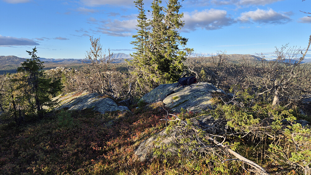 Sekken min ligger på toppen av Brennehov (973). Langt bak og litt til venstre er Gaustatoppen (1883). Mer til venstre og mye nærmere ses høyden Nord for Brennehov (962) med alle de nakne bergknausene.