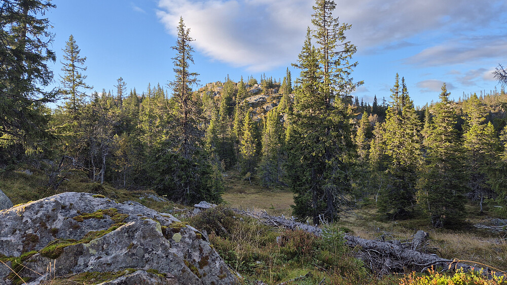 På vei oppover mot høyden Nord for Brennehov (962).