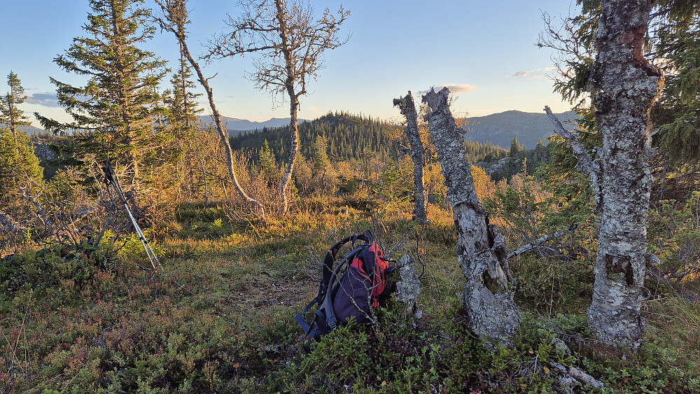 På turens siste topp, Nordvest for Presttjønn (954). Her oppe var sola veldig lav på himmelen. Toppen bak midt i bildet, er Brennehov (973).