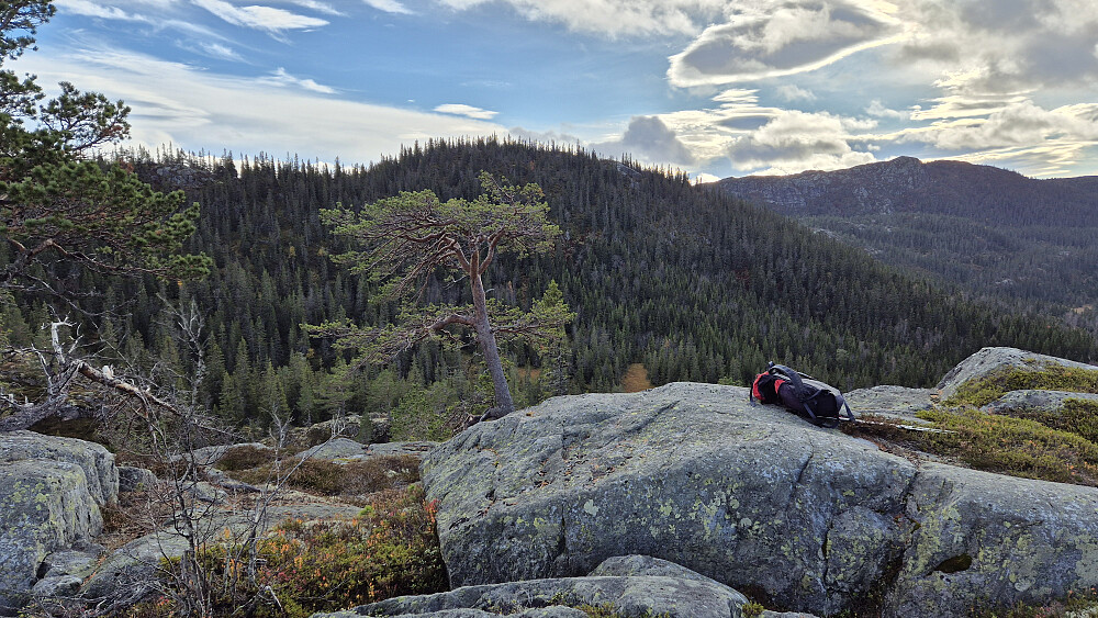 På toppen av den lille knatten Sørvest for Jønnardalsfjellet (824) var det ganske fint. Her stuper det bratt ned mot sør og sørøst, så fra denne toppen fikk jeg god utsikt i flere retninger. Jeg så bl.a. rett over mot Goplenuten (890), som er åsen midt i bildet.