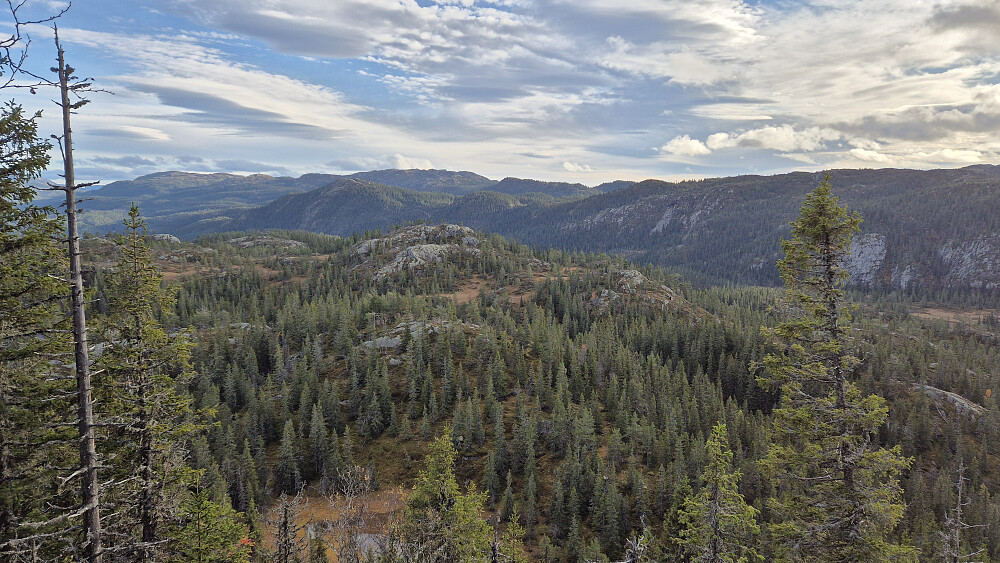 Like ved toppen av Goplenuten (890) var det en åpning hvor jeg fikk god utsikt sørover.