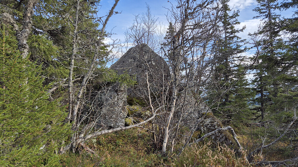 Den høye steinen midt i bildet er toppunktet på Goplenuten (890). Her sett fra vest.