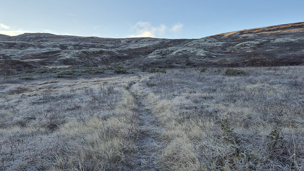 Like etter elvekryssingen fulgte jeg stien over et flatt område, som vanligvis sikkert er ganske fuktig, men som nå hadde frosset til.