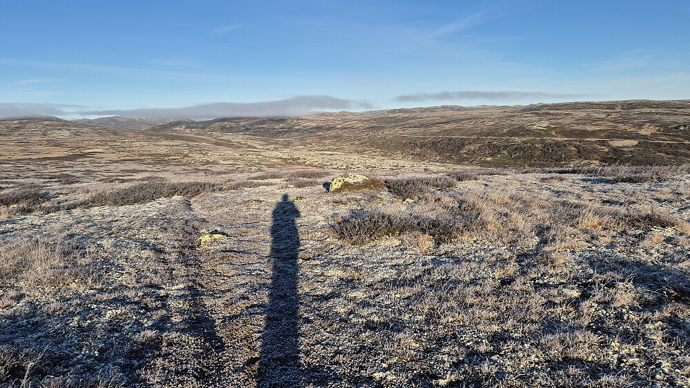 Her forlot jeg stien, og ser tilbake mot der jeg nettopp hadde kommet fra. Bilen sto parkert ved veien helt til høyre i bildet, like til høyre for det store, lyse feltet på nedsiden av grusveien.