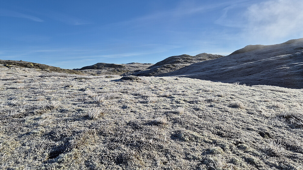 Jeg nærmer meg dagens første topp, Lonntjønnibba (1331), som her forsvinner ut av høyre bildekant. Bakerst og nesten midt i bildet, ses Staupsfjellet Nord (1338).