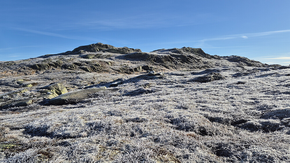 På vei oppover mot Staupsfjellet (1340), hvor selve toppen er litt til høyre.