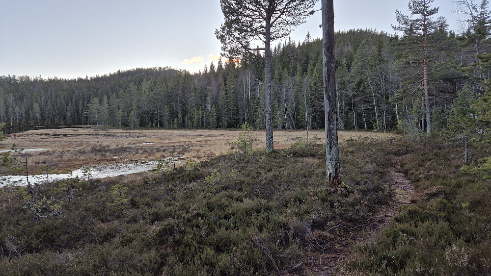 På stien ved Årnotratjønn, som ses til venstre. Oppe til høyre er Årnotra (700).
