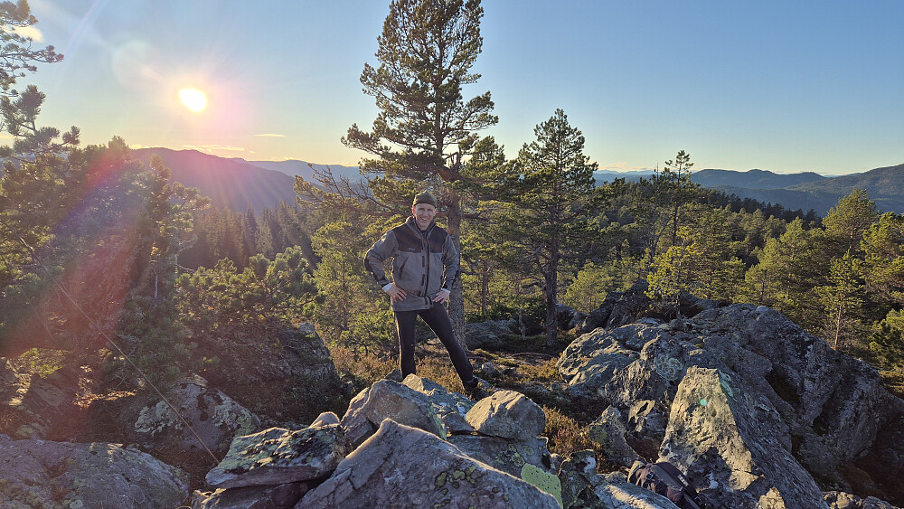 Lav høstsol på toppen av Årnotra (700). Bildet tatt mot vest/sørvest.