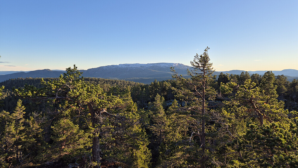Utsikt mot sør fra Årnotra (700). I bakgrunnen midt i bildet er Brokefjell/Mannslagarnuten (1074).