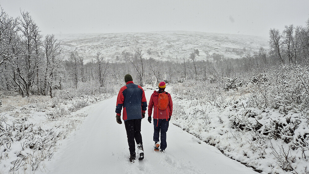 Vi rusler oppover Smådalsvegen. I bakgrunnen er Smådalsfjellet.