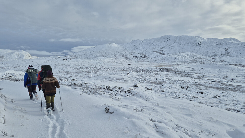 Fortsatt på kjerreveien, men nå nærmer vi oss stedet hvor stien tar av. Hytta vi var bortom ses i bakgrunnen til venstre. Horntind (1454) er fjellet til høyre.