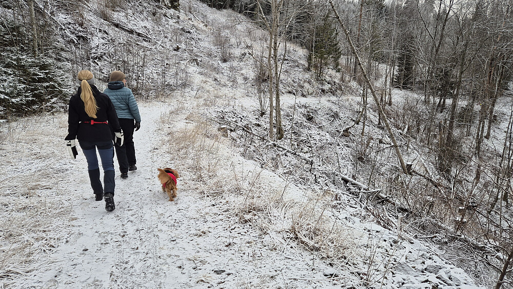 På stien/traktorveien like sør for Tormodsrud.