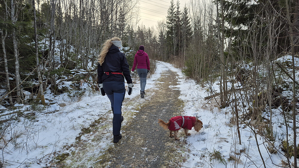 Like etter at vi gikk fra Damtjern parkering. Rundt 6 minus ved start. Også i dag var nordavinden frisk, og på åpne plasser kjentes den godt.